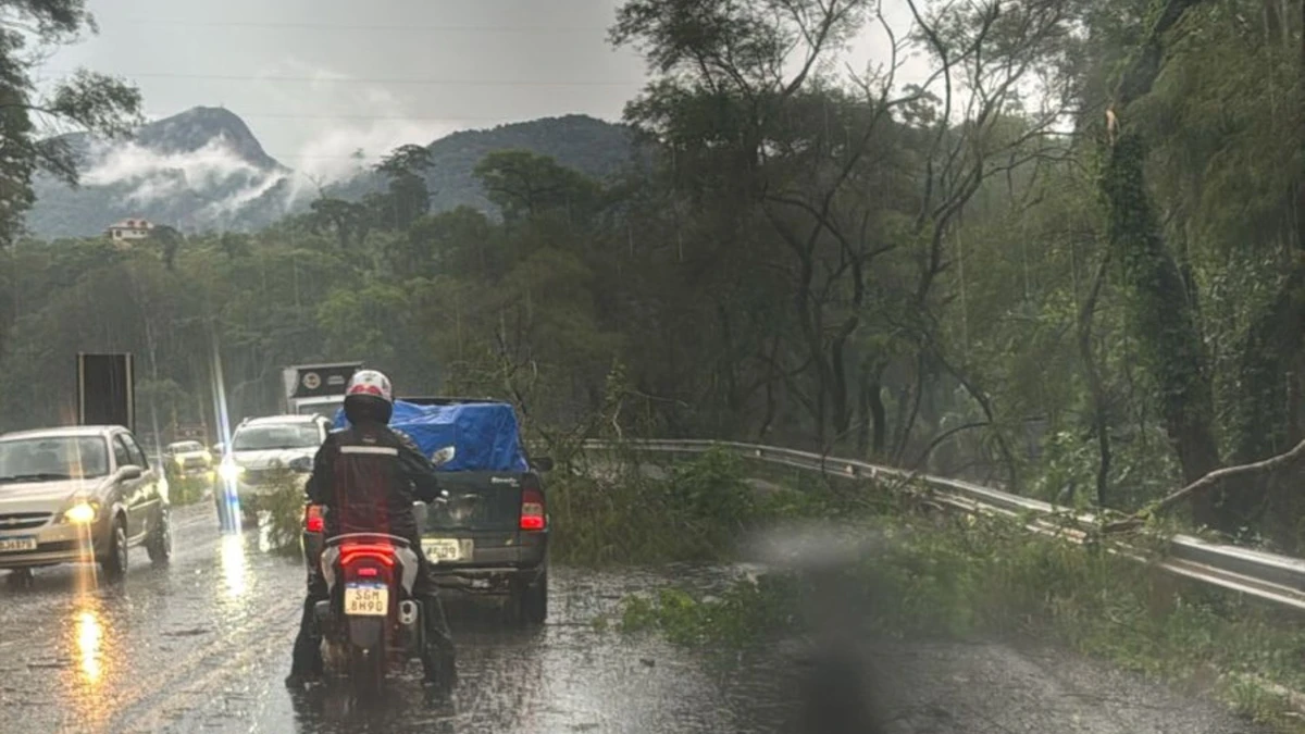 Crédito: Divulgação/Defesa Civil de Venda Nova do Imigrante