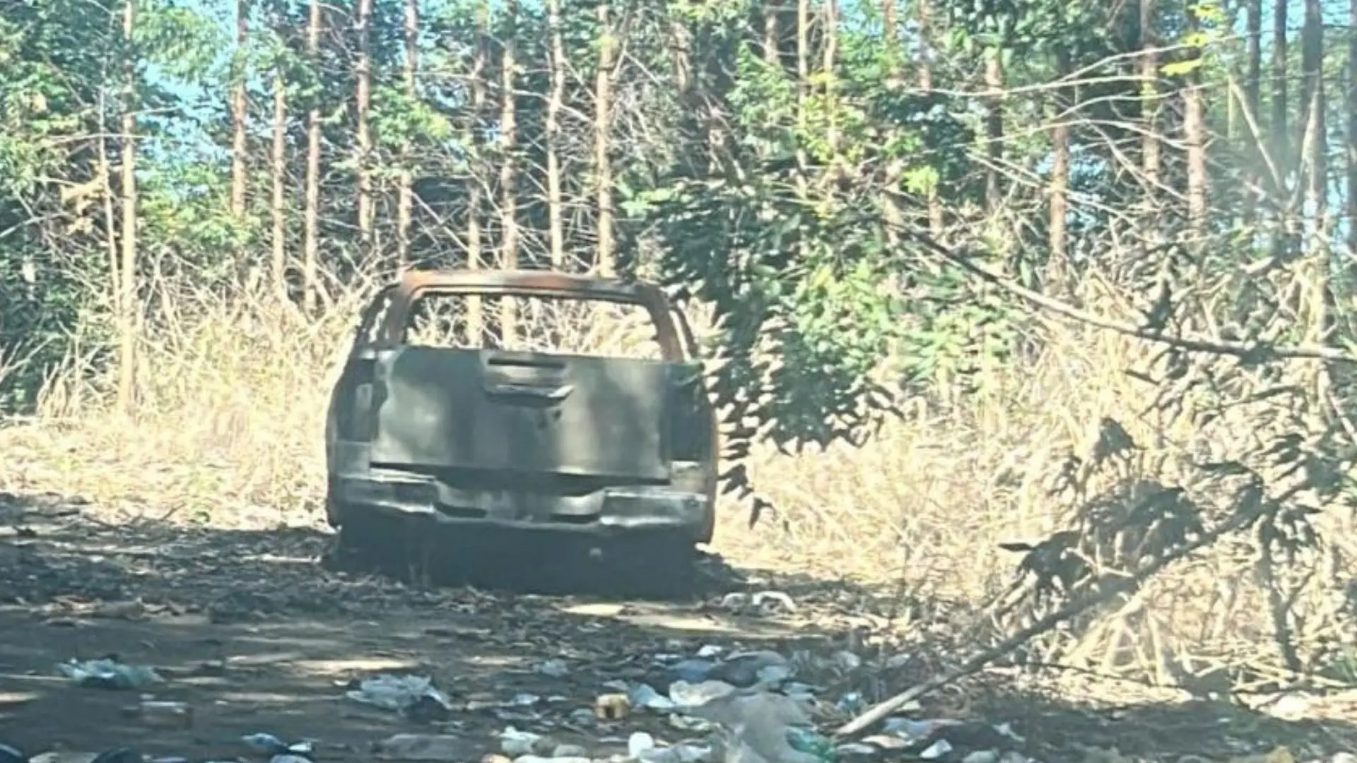 Segundo corpo em decomposição é encontrado em área de mata às margens da Audifax Barcelos, na Serra