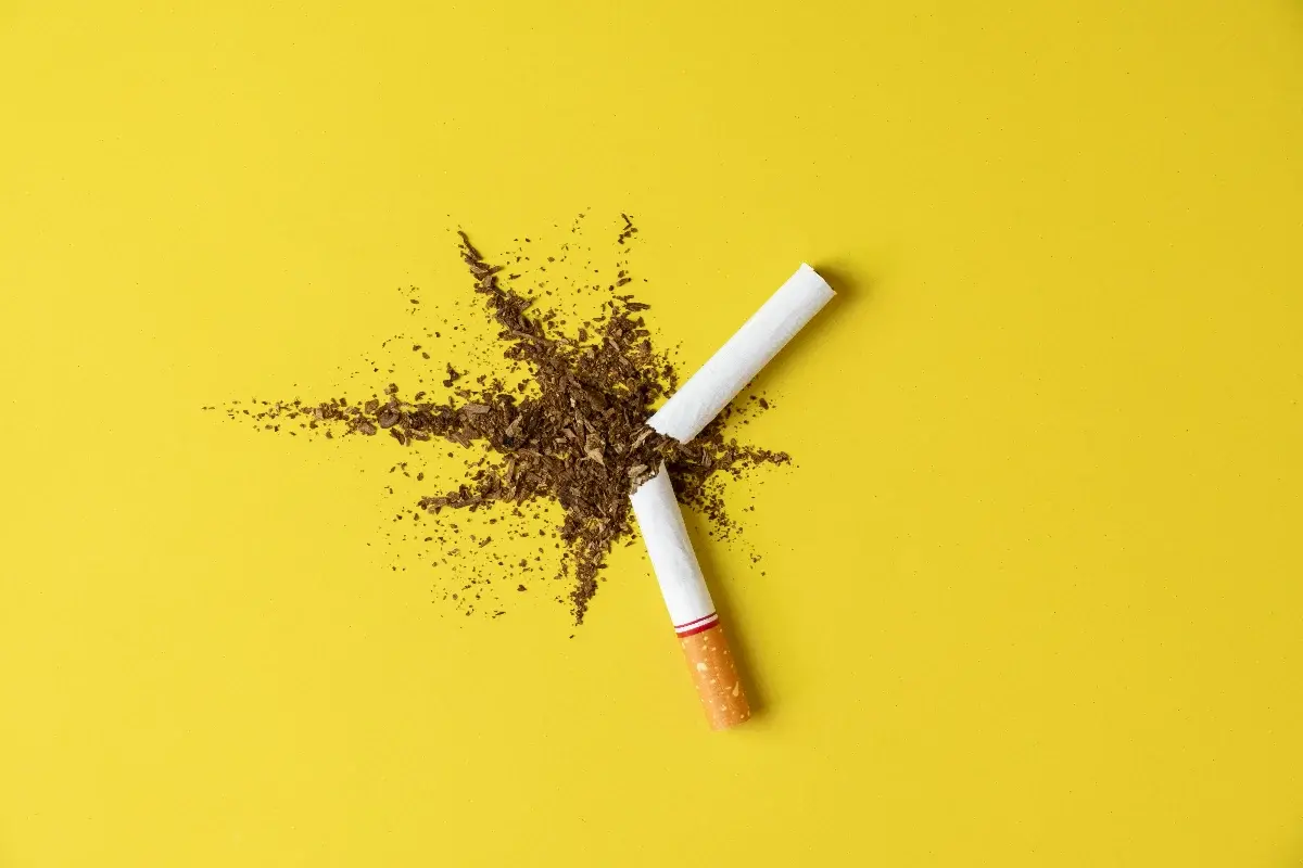 Cigarro também ameaça a circulação e pode causar danos graves aos vasos sanguíneos